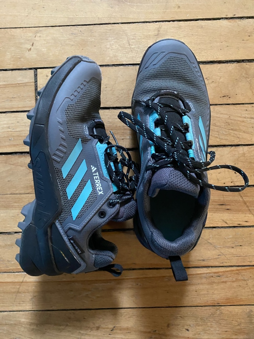 Adidas Terrex Gore Tex Hiking Shoe